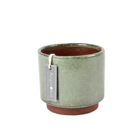 Green Malibu Medium