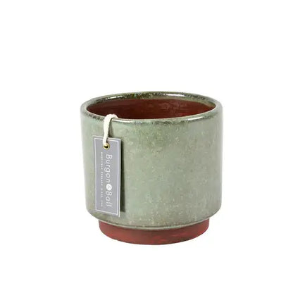 Green Malibu Medium