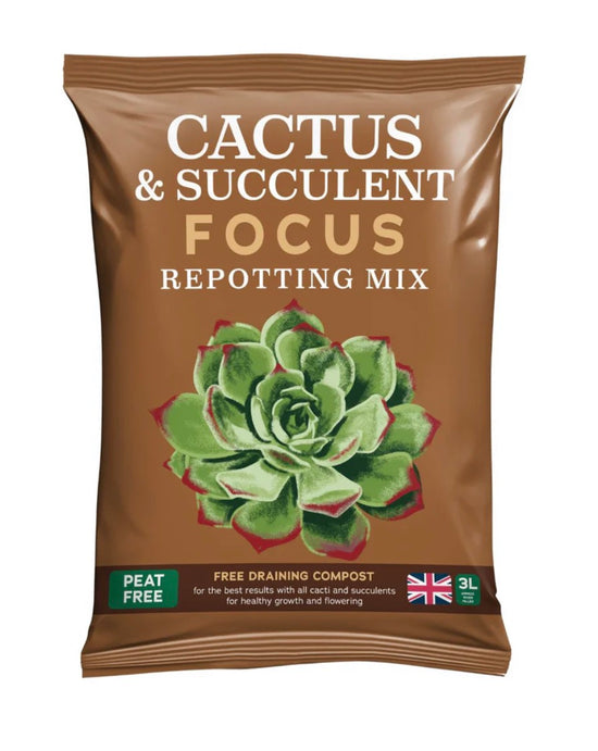 Bag of cactus and succulent repotting mix with a green succulent illustration on a brown background.