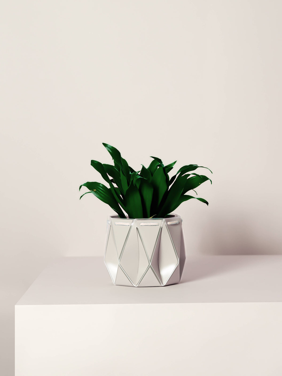 POTR | Ivory White Self-Watering Plant Pot | 18cm