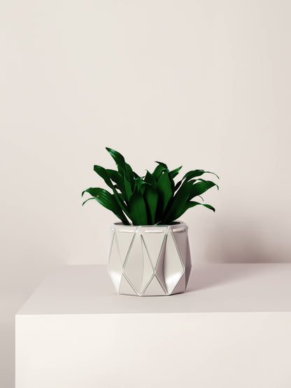 POTR | Ivory White Self-Watering Plant Pot | 18cm