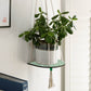 Hanging Plant Shelf - Forget Me Not - Green