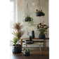 Sahara Sunset Large Hanging Pot | Black | 19.5cm