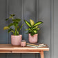 Reactive Glaze Ceramic Indoor Planter | Morganite | 13cm