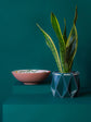 POTR | Dark Teal Self-Watering Plant Pot | 15cm