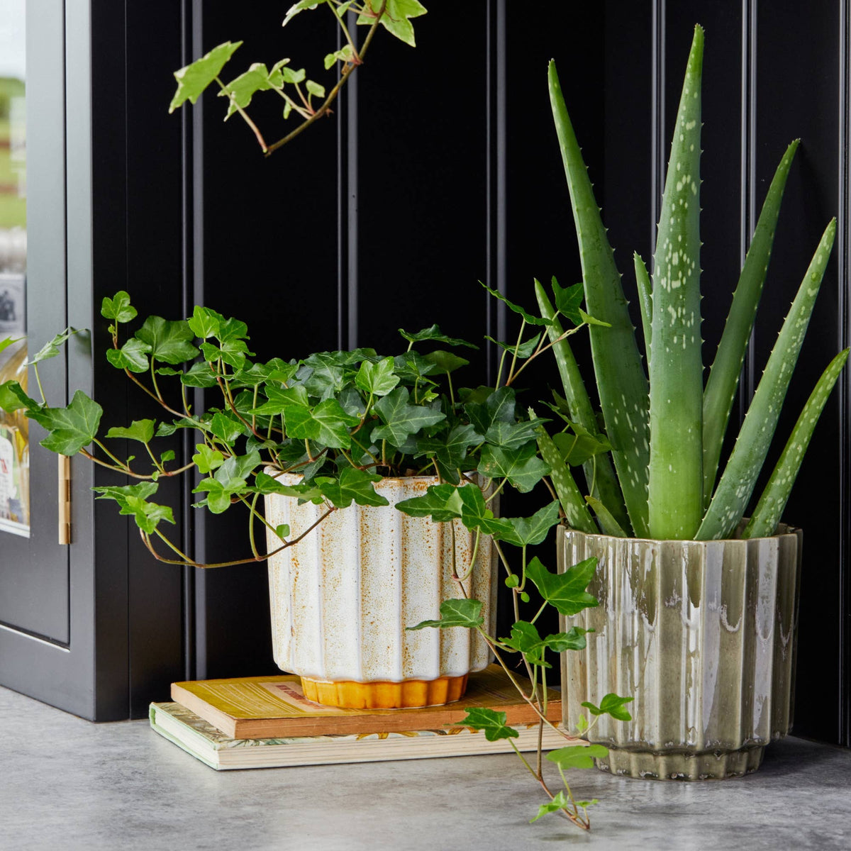 Lugano Scalloped Reactive Planter | Mustard | 13cm