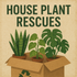 Illustration of potted plants in a cardboard box with &