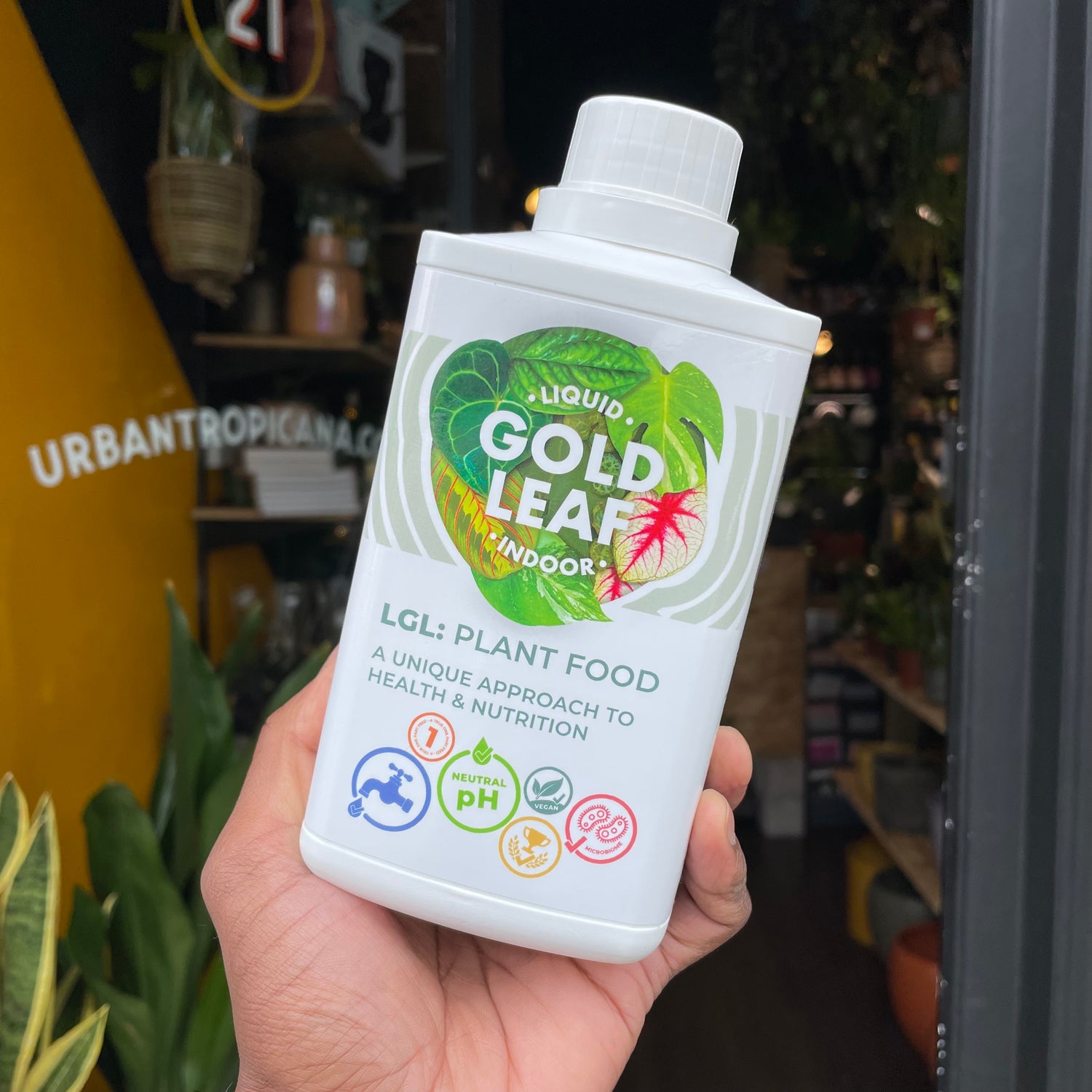 Liquid Gold Leaf - Feed & Care - Plant Shop - Urban Tropicana