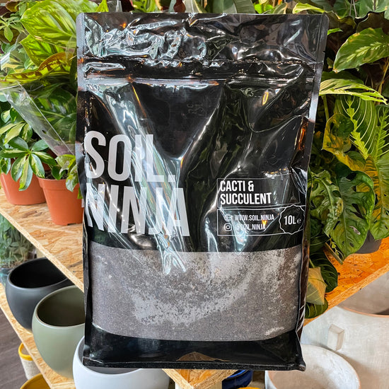 A bag of Soil Ninja | Cacti and Succulent 10L in Urban Tropicana’s store in Chiswick, London.