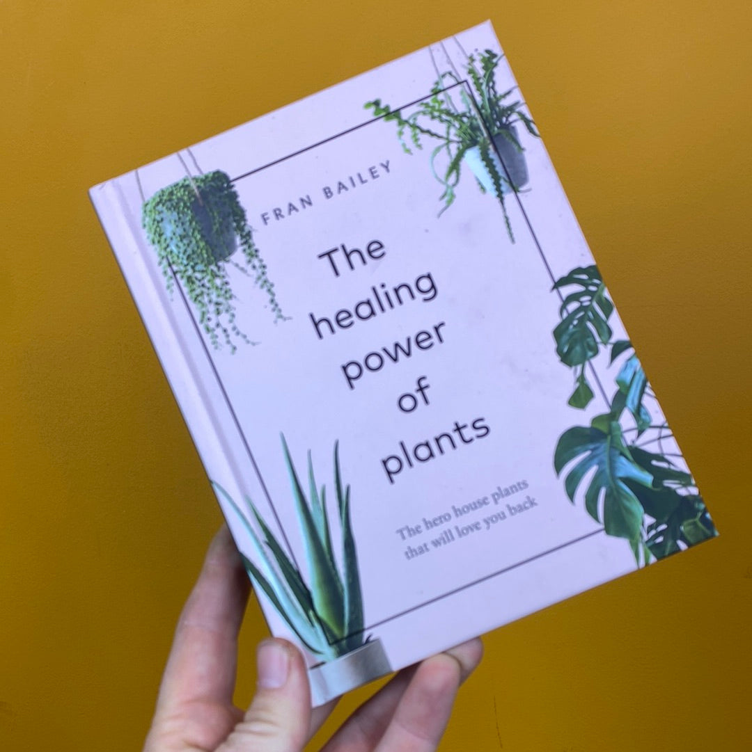 The Healing Power of Plants Book being held in Urban Tropicana’s shop in Chiswick, London.