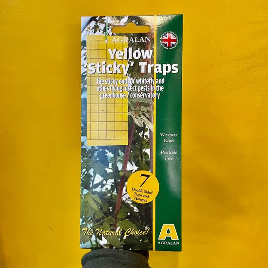 Yellow Sticky Traps (Pack of 7)
