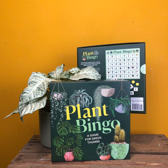 Plant Bingo a plant based board game in front of a yellow background
