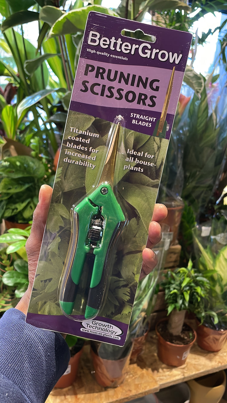 Pruning scissors inside of Urban Tropicana&