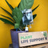 Plant Life support self watering system in a plant pot