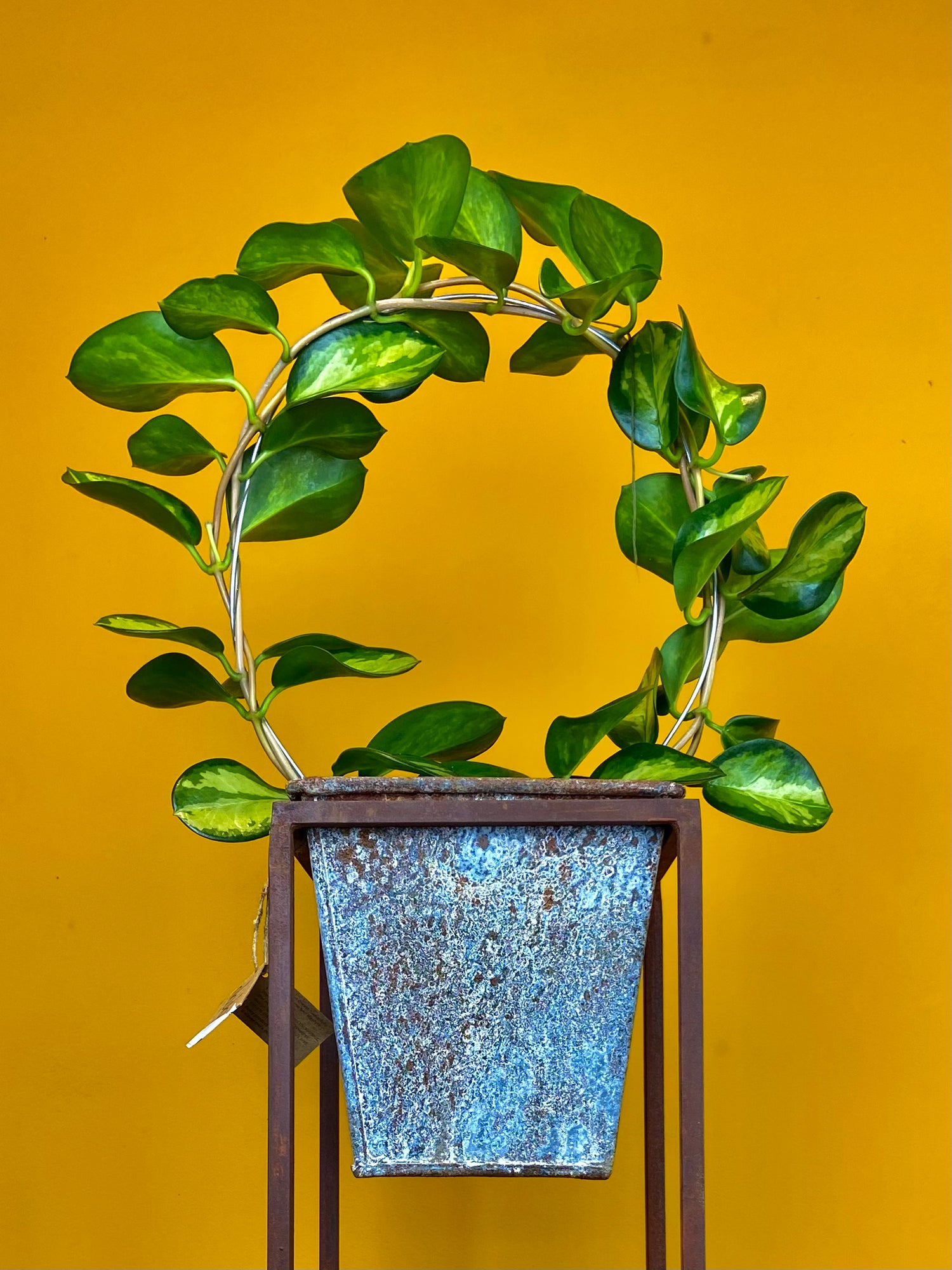 A Narlu planter and stand with a distressed rust appearance