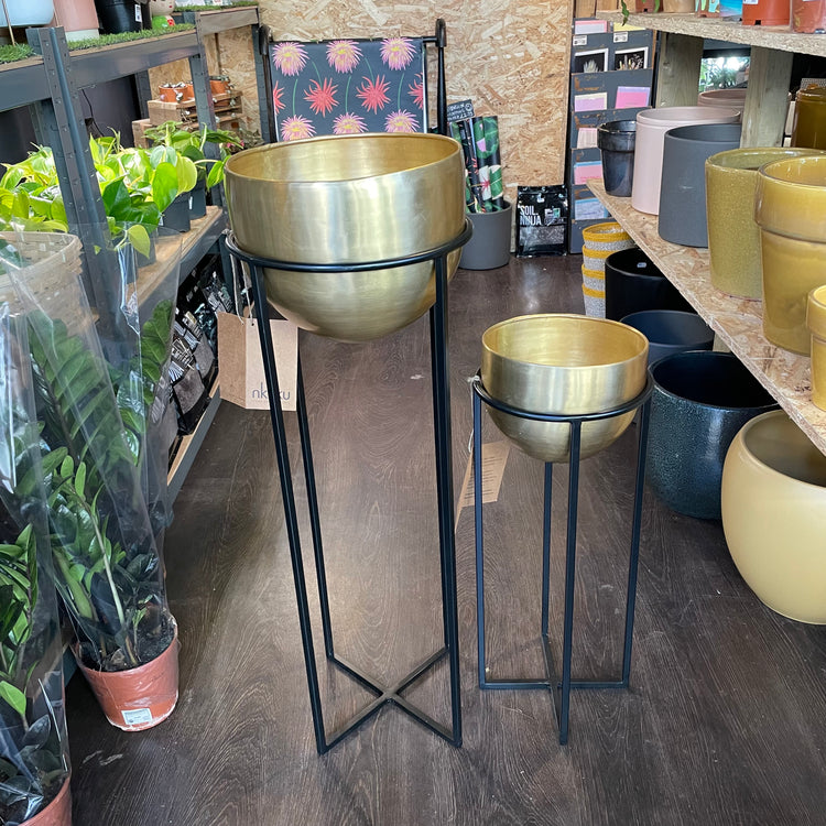 Two NKUKU Brass Planter Stands, one small and one large, in Urban Tropicana’s store in Chiswick, London.