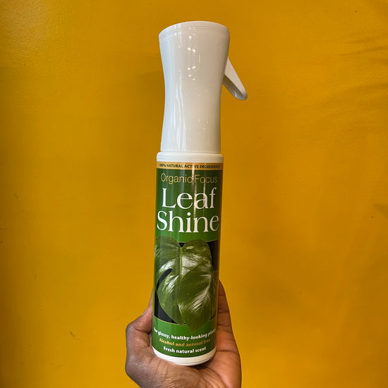Spray bottle of “Organic Focus Leaf Shine” (400ml) in Urban Tropicana&