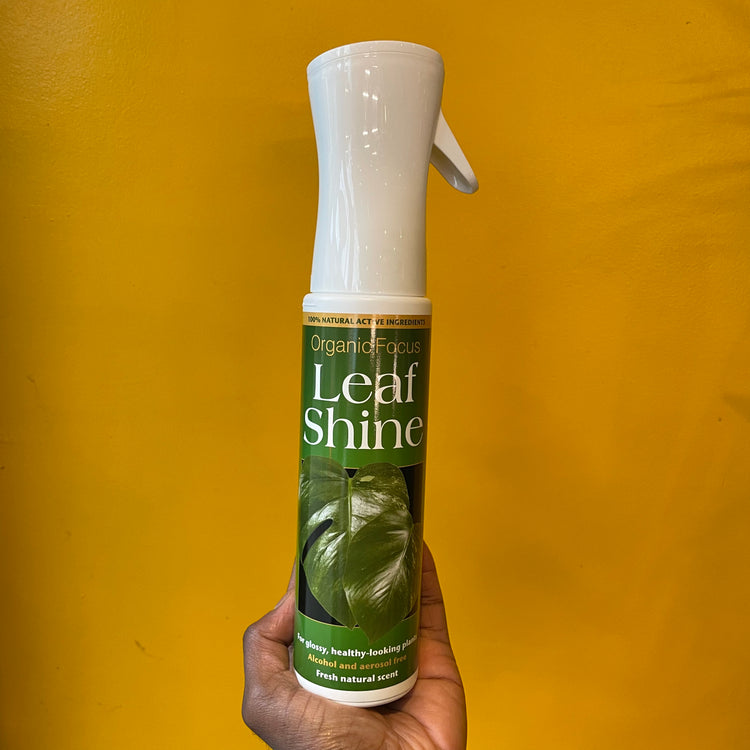 Spray bottle of “Organic Focus Leaf Shine” in Urban Tropicana&