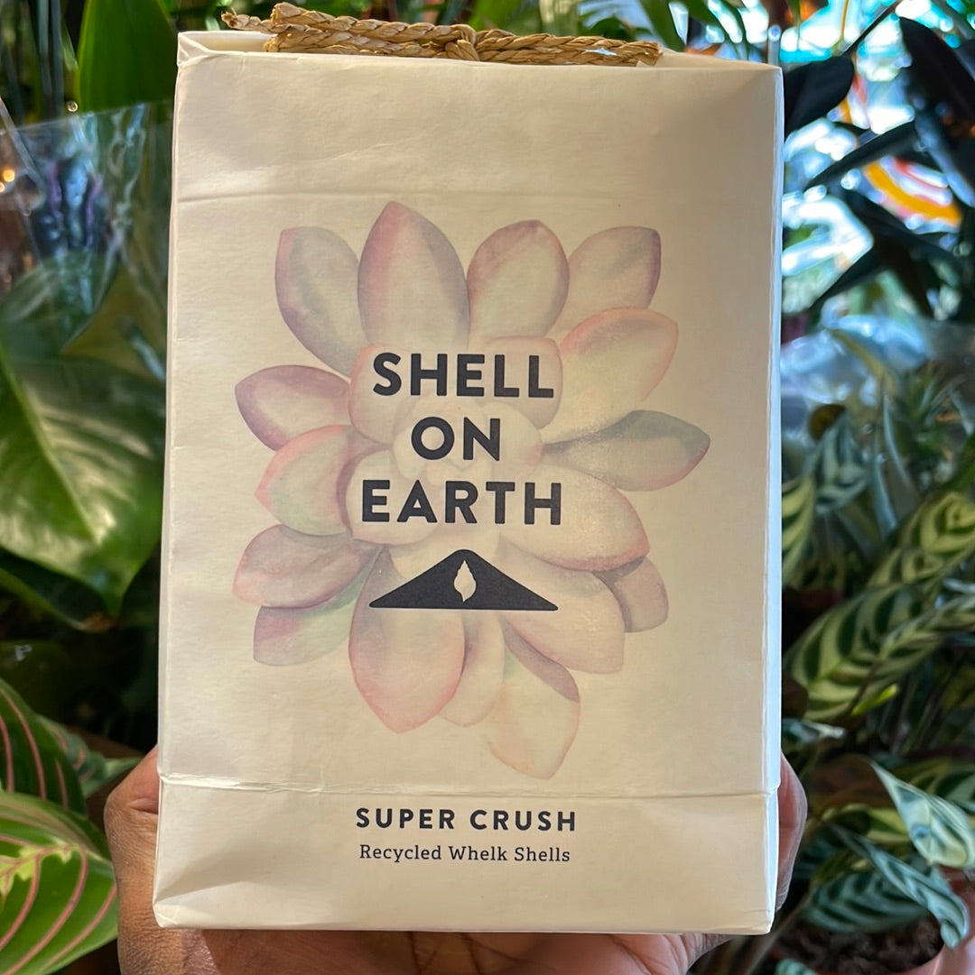 Shell on Earth bag in Urban Tropicana’s store in Chiswick, London.