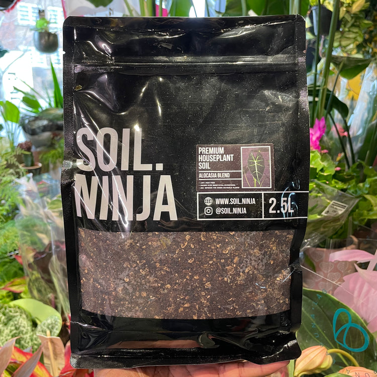 A bag of Soil Ninja | Alocasia 2.5L in Urban Tropicana’s store in Chiswick, London.