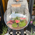 Terrarium Moon in Urban Tropicana’s store in Chiswick, London.