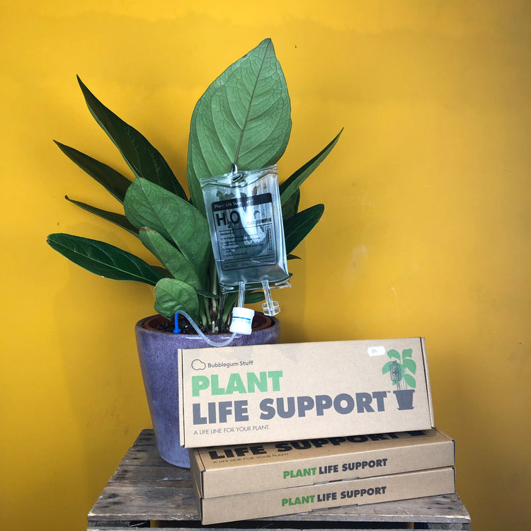 Plant Life support self watering system in a plant pot in front of a yellow background