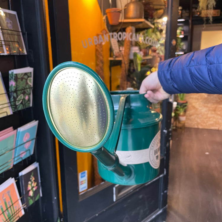 Haws - The Cradley Cascader Green Watering Can in front of Urban Tropicana&