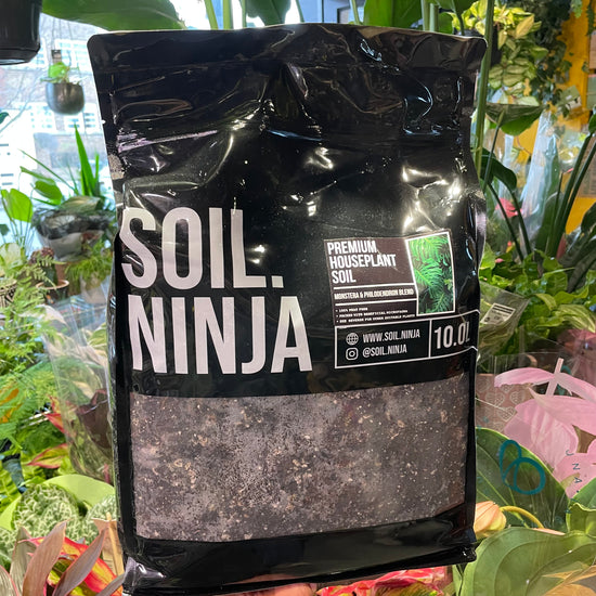 A bag of Soil Ninja | Monstera and Philodendron 10L in Urban Tropicana’s store in Chiswick, London.