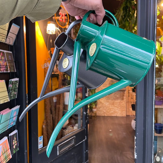 Haws - The Fazeley Flow Watering Can in Green and Grey in front of Urban Tropicana&
