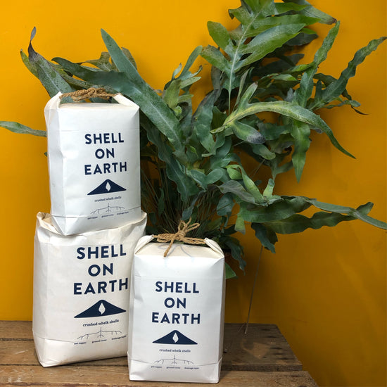 Three Shell on Earth bags in Urban Tropicana’s store in Chiswick, London.